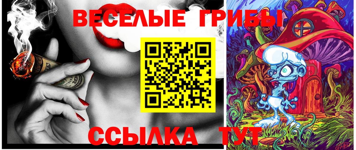 Псилоцибиновые грибы MAGIC MUSHROOMS  Вход с VPN  купить наркоту  Краснознаменск 